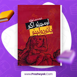 معرفی و دانلود PDF کتاب بائودولینو رضا علیزاده 509 صفحه پی دی اف