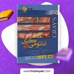 معرفی و دانلود PDF کتاب آناتومی گری تنه رضا شیرازی 525 صفحه پی دی اف