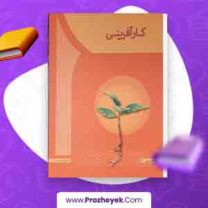 معرفی و دانلود PDF کتاب کارآفرینی مهدی سعیدی کیا 225 صفحه پی دی اف