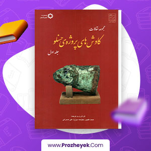 معرفی و دانلود PDF پروژه کاوش های حسنلو صمد علیون 329 صفحه پی دی اف